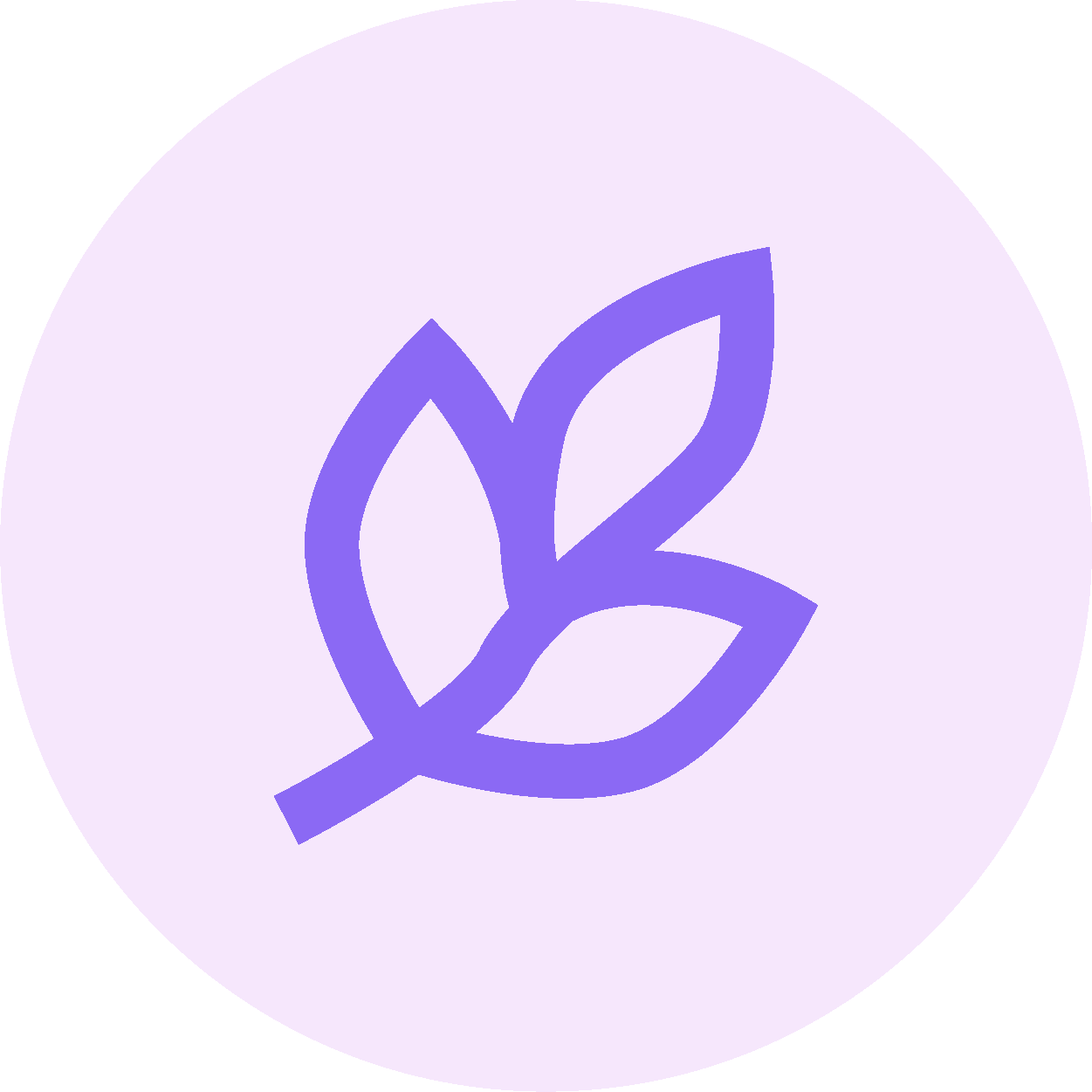 Stress & Anxiety Support